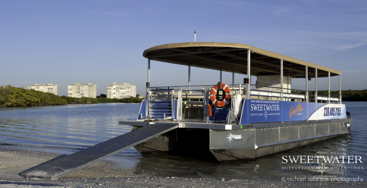 Dolphin/Sightseeing Tour 2.5 Hours